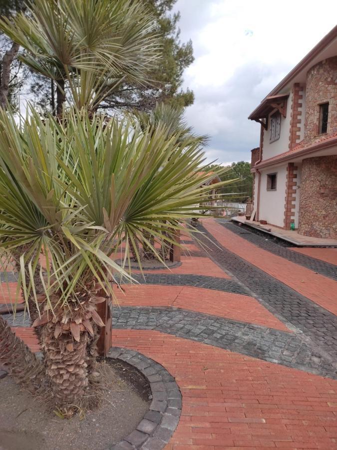 Etna Casa Del Sole Bed & Breakfast Nicolosi Exterior photo
